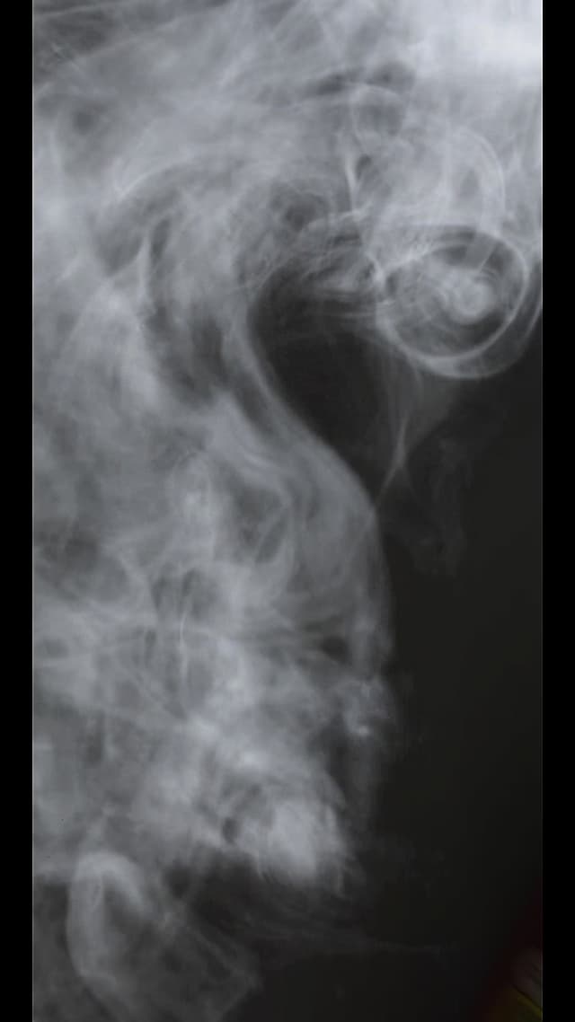 Was ist das wert? Zuschauer raten